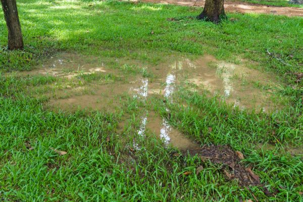 Cost of Storm Water Drainage Service in Round Rock