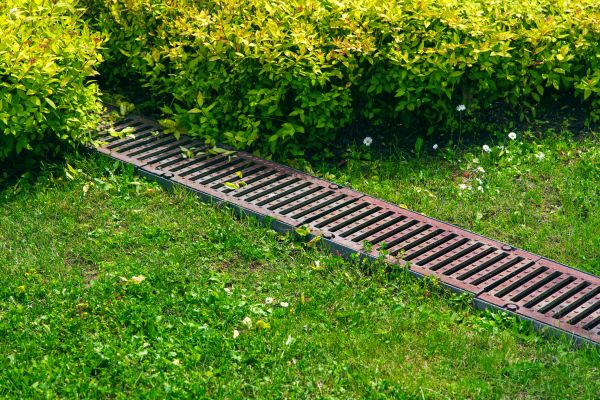 Cost of Lawn Drainage in Round Rock