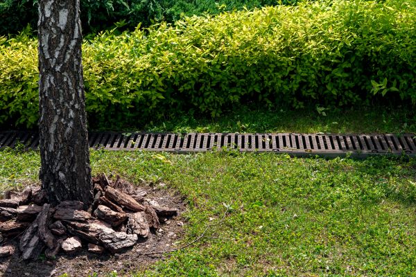 Cost of Yard Water Redirection in Round Rock