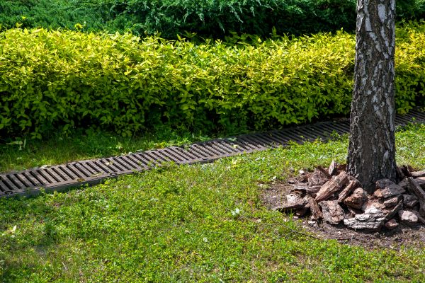 Residential Landscape Drainage Service