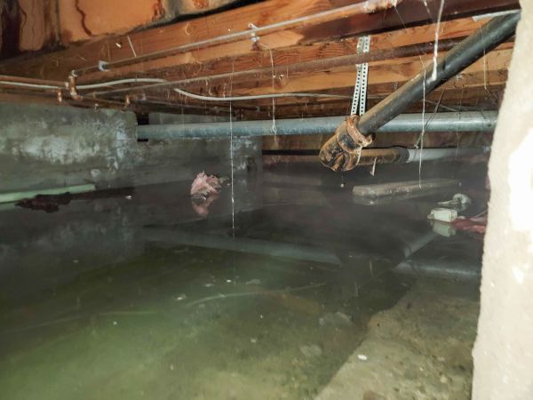 Cost of Crawlspace Drainage in Round Rock