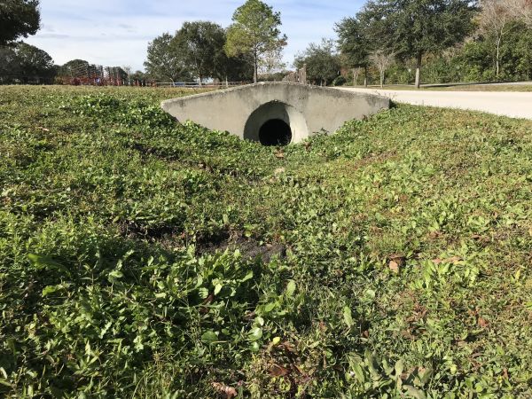Swale Drainage Service